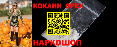 СК Тара