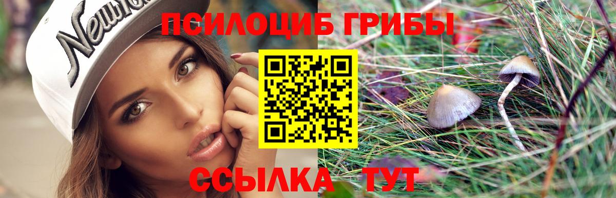 Псилоцибиновые грибы мухоморы  Галлюциногенные грибы Psilocybine cubensis  Ноябрьск  Вход с VPN 